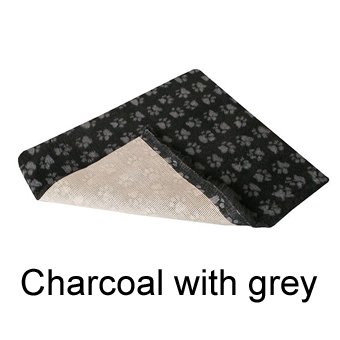 CHARCOAL WITH GREY PAWS