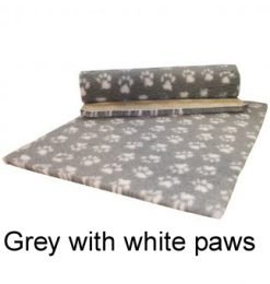 GREY-WITH-WHITE-PAWS-340×340 copy