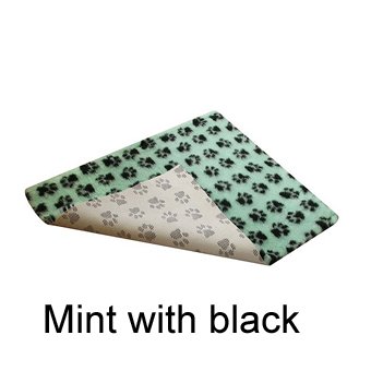 MINT WITH BLACK PAWS