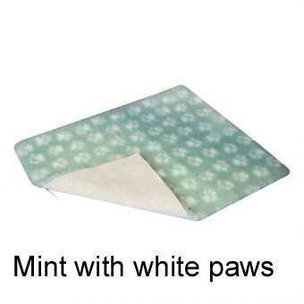 MINT-WITH-WHITE-PAWS-340×340 jpg