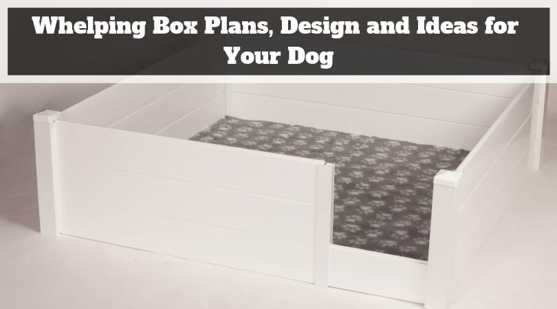 Whelping Box Plans, Design and Ideas for Your Dog